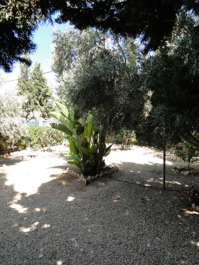Maison Calme Et Reposante Essaouira Eksteriør bilde